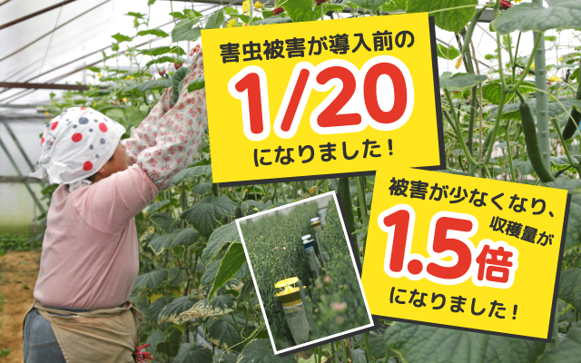 害虫被害が導入前の1/20になりました!